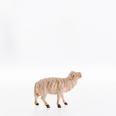 Sheep bleating (21104--) (0,00", ?)
