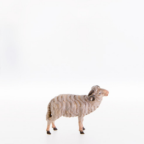 Ram (21177--) (0,00", ?)