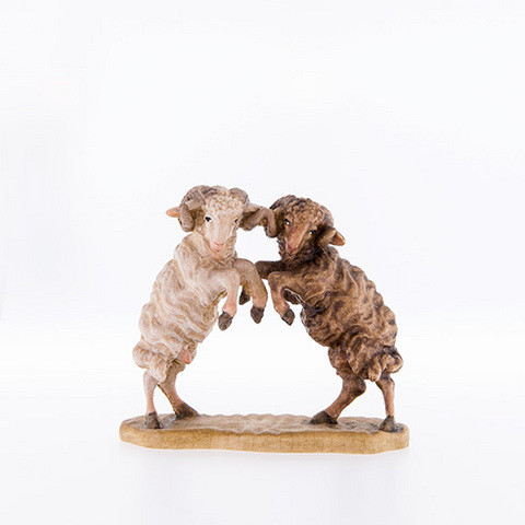 Pair of rams fighting (21178--) (0,00", ?)
