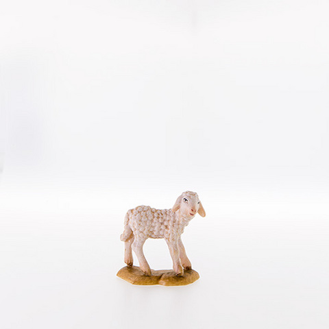 Lamb standing (21287--) (0,00", ?)
