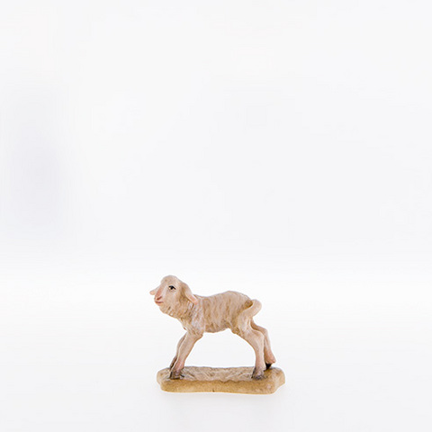 Lamb standing (21289--) (0,00", ?)