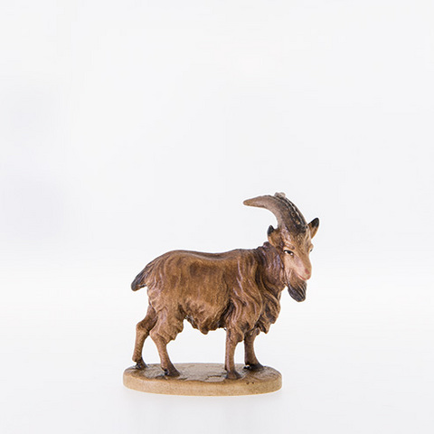 Caprone (21379--) (0 cm, ?)