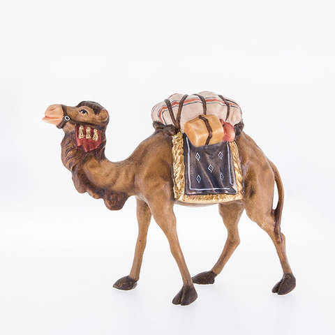Kamel (24020--) (0 cm, ?)